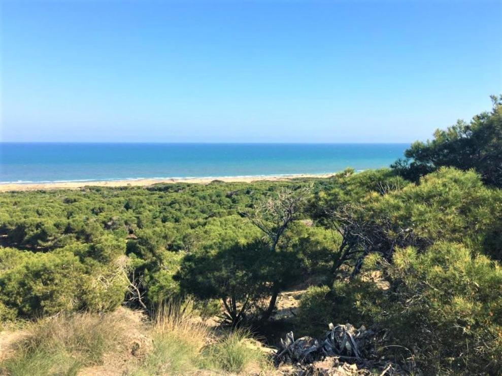 Villa Casa Jirafa Con La Vista Gran Alacant Exterior foto